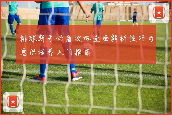 排球新手必看攻略全面解析技巧与意识培养入门指南