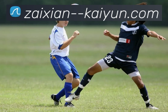 App Interface Preview